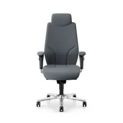 Giroflex 64-9778 executive chair with 4D armrests, Gray/Chrome-plated, New, Ergonomic chair - ideal for flexible working