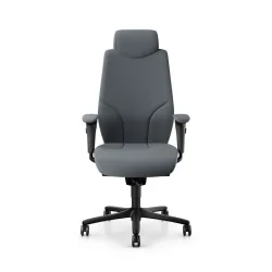 Giroflex 64-9778 executive chair with 4D armrests, Gray/Black, New, Ergonomic chair - ideal for flexible working
