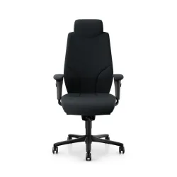 Giroflex 64-9778 executive chair with 4D armrests, Black/Black, New, Ergonomic chair - ideal for flexible working