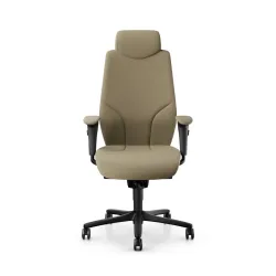 Giroflex 64-9778 executive chair with 4D armrests, Light brown/Black, New, Ergonomic chair - ideal for flexible working