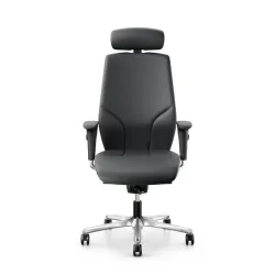 Office swivel chair Giroflex 64 with 4D armrests, Gray/Chrome-plated, New, Ergonomic chair - ideal for flexible working