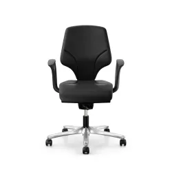 Giroflex 64-3078 LAB laboratory chair with fixed armrests, Black/Chrome-plated, New, Ergonomic chair - ideal for flexible working