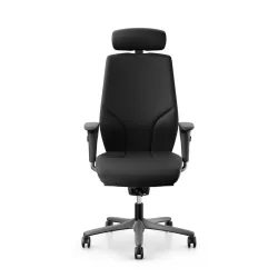 Office swivel chair Giroflex 64 with 4D armrests, Black/Anthracite, New, Ergonomic chair - ideal for flexible working