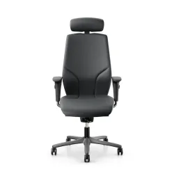 Office swivel chair Giroflex 64 with 4D armrests, Gray/Anthracite, New, Ergonomic chair - ideal for flexible working