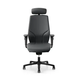 Office swivel chair Giroflex 64 with 4D armrests, Gray/Black, New, Ergonomic chair - ideal for flexible working