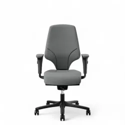 Office swivel chair Giroflex 64-3578 with 4D armrests, Gray/Black, New, Ergonomic chair - ideal for flexible working