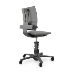 nv without armrests, Light grey/Black, New, Ergonomic chair - ideal for flexible working