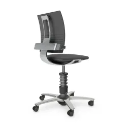 nv without armrests, Gray/High-gloss polished, New, Ergonomic chair - ideal for flexible working