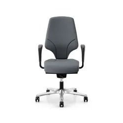 Office swivel chair Giroflex 64-3578 with 1D armrests, Gray/Chrome-plated, New, Ergonomic chair - ideal for flexible working