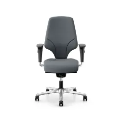 Office swivel chair Giroflex 64-3578 with 4D armrests, Gray/Chrome-plated, New, Ergonomic chair - ideal for flexible working