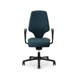 Office swivel chair Giroflex 64-3578 with 1D armrests, Blue/Black, New, Ergonomic chair - ideal for flexible working