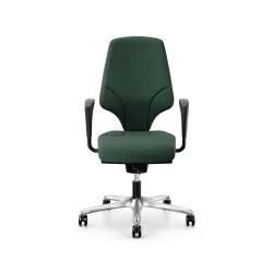 Office swivel chair Giroflex 64-3578 with 1D armrests, Dark green/Chrome-plated, New, Ergonomic chair - ideal for flexible working