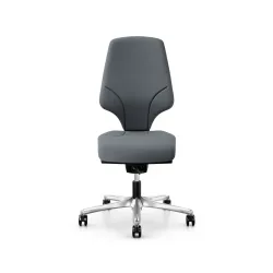 Office swivel chair Giroflex 64-3578 without armrests, Gray/Chrome-plated, New, Ergonomic chair - ideal for flexible working