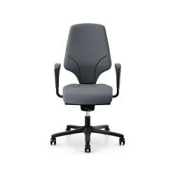 Office swivel chair Giroflex 64-3578 with 1D armrests, Gray/Black, New, Ergonomic chair - ideal for flexible working