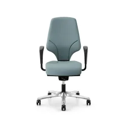 Office swivel chair Giroflex 64-3578 with 1D armrests, Light blue/Chrome-plated, New, Ergonomic chair - ideal for flexible working
