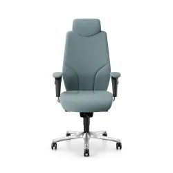 Giroflex 64-9778 executive chair with 4D armrests, Light blue/Chrome-plated, New, Ergonomic chair - ideal for flexible working