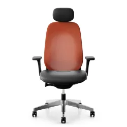 Office swivel chairs Giroflex 40-4049 with 3D armrests, Orange, New, Ergonomic chair - ideal for flexible working