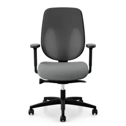 Office swivel chair Giroflex 353-4029 with 2D armrests, Gray/Black, New, Ergonomic chair - ideal for flexible working