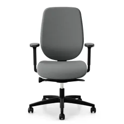 Office swivel chair Giroflex 353-4529 with 2D armrests, Gray/Black, New, Ergonomic chair - ideal for flexible working