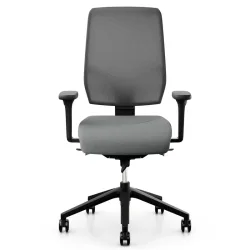 Office swivel chair Giroflex 68-3519 with 4D armrests, Gray/Black, New, Ergonomic chair - ideal for flexible working