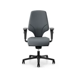Office swivel chair Giroflex 64-3578 with 4D armrests, Gray/Black, New, Ergonomic chair - ideal for flexible working