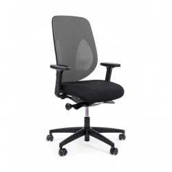 Bürostuhl Giroflex 353-4029 ohne Kopfstütze & mit 2D Armlehnen Grau/Schwarz, Neu, Ergonomischer Stuhl - ideal für flexibles Arbeiten