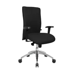 Bürostuhl Topstar Commander mit 1D Armlehnen, Schwarz, Neu, Ergonomischer Stuhl - ideal für flexibles Arbeiten