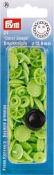 Prym Druckknopf Color Snaps, Blume, apfel 13.6 mm, Karte 21 Stk.