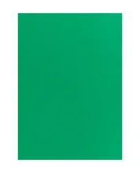 MAREIN Tonpapier 50x70cm MPA2901208327 120g, tannengr&uuml;n