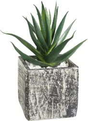 EGLO Kunstpflanze 12cm 428008 gr&uuml;n, im Topf