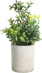 EGLO Kunstpflanze 25cm 428025 gr&uuml;n, im Topf