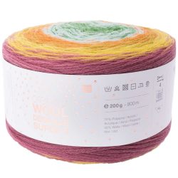 Rico Creative Wool D&eacute;grad&eacute; Super 6, beere-gr&uuml;n, 200 g, 800 m, 70 % PAN, 30 % WV