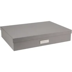 BIGSO BOX OF SWEDEN Aufbewahrungsbox Sverker 934154141 grau 43.5x31x8.5cm