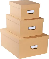 EXACOMPTA Ablagebox Officebyme 79602E beige 3er-Set