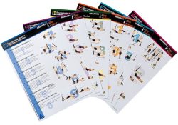 REHAPE&reg; &Uuml;bungsprogramm DIN A4 7 Stk