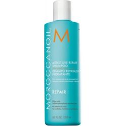 Moroccanoil regenerierendes Shampoo 250 ml