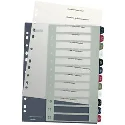 LEITZ Register PC-beschriftbar A4+ 12380000 Style, 1-12 multicolor