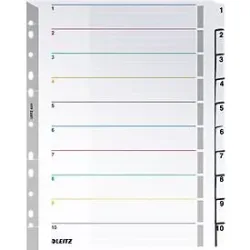 LEITZ Register PP A4 43310000 1-10