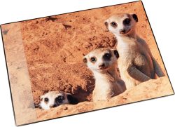 L&Auml;UFER Schreibunterlage 46596 Erdm&auml;nnchen 53x40cm
