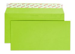 ELCO Couvert Color o/Fenster C5/6 18833.62 100g, gr&uuml;n 250 St&uuml;ck