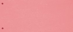 BIELLA Trennstreifen Karton 2 Loch 199190.45 rot, 24x10.5cm 100 Stk.