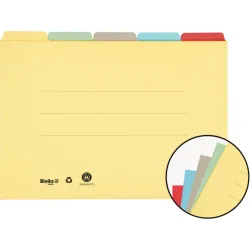 BIELLA Registermappe A4 325432.00 farbig assort., 190 Bl. 5 Stk.