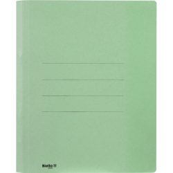 BIELLA Schnellhefter Praxis A4 167400.30 gr&uuml;n, 320gm2 250 Bl.