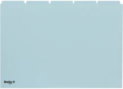 BIELLA Kartei-Leitkarten blanko A5 210555.05 blau, 25-teilig