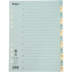 BIELLA Register Karton farbig A4 462441.00 1-12