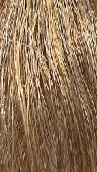 REF Soft Colour Coloration 8.31 Light Gold Ash Blonde 3 x 50 ml