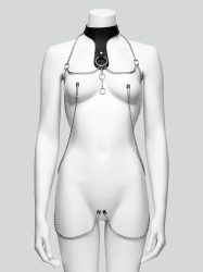 DOMINIX Deluxe Lederhalsband mit Klemmen