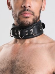 DOMINIX Deluxe Schweres Lederhalsband