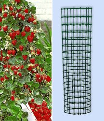 Kletter-Erdbeere ´Hummi®´ und Dekorativer Rankturm (1 Set)