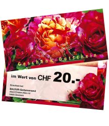 Geschenk-Gutschein im Wert von 20 CHF (1 Stück)